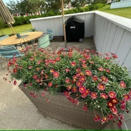 Hyggeligt Taet Pa Vandet I Bro Βίλα *